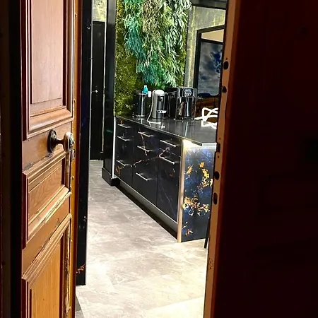 Amazing Flat In Champs-Elysees 75008 Paris